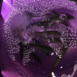 あたりは朝一のみ